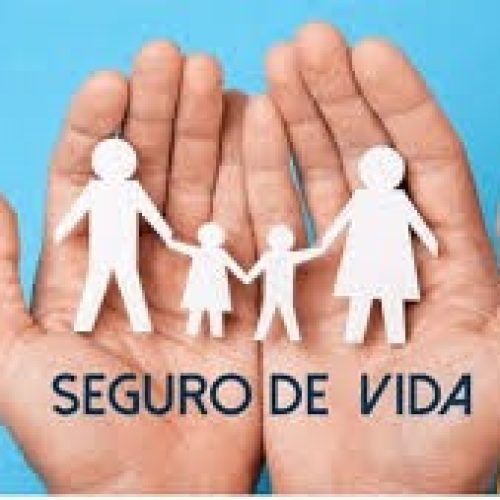 seg de vida